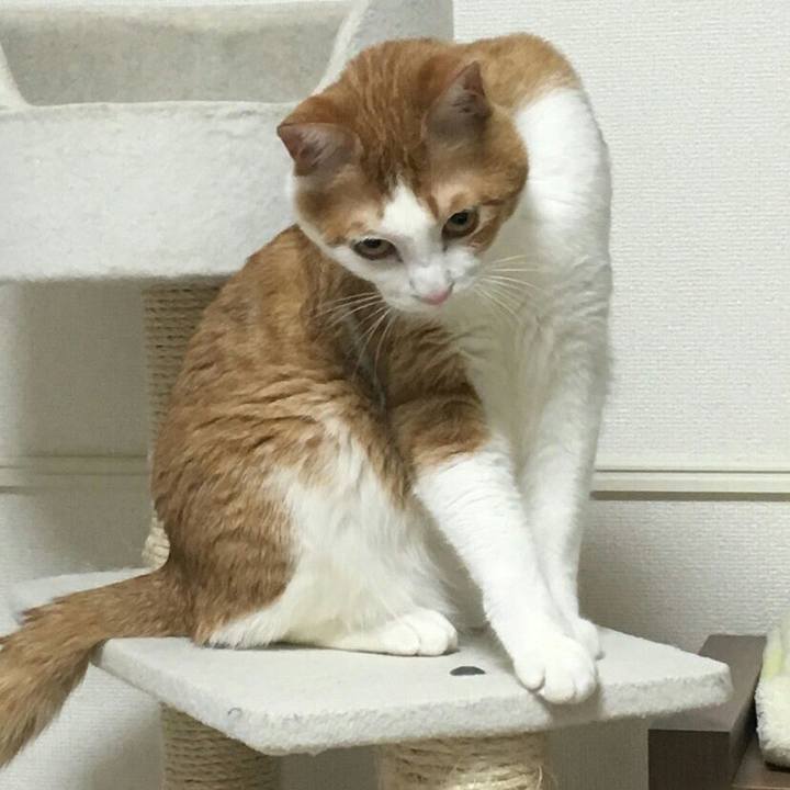 F6415575 4e82 4c07 985d b3e306139ad2