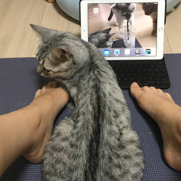 F6417ba3 bdc9 4b23 8d60 ada50871a257