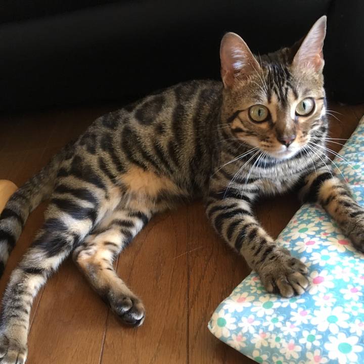 F6417d47 984e 4705 8ac6 f4ee4a7b0699