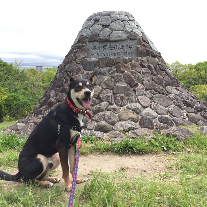 F641cebc faa8 40c0 b091 c42a301b6805