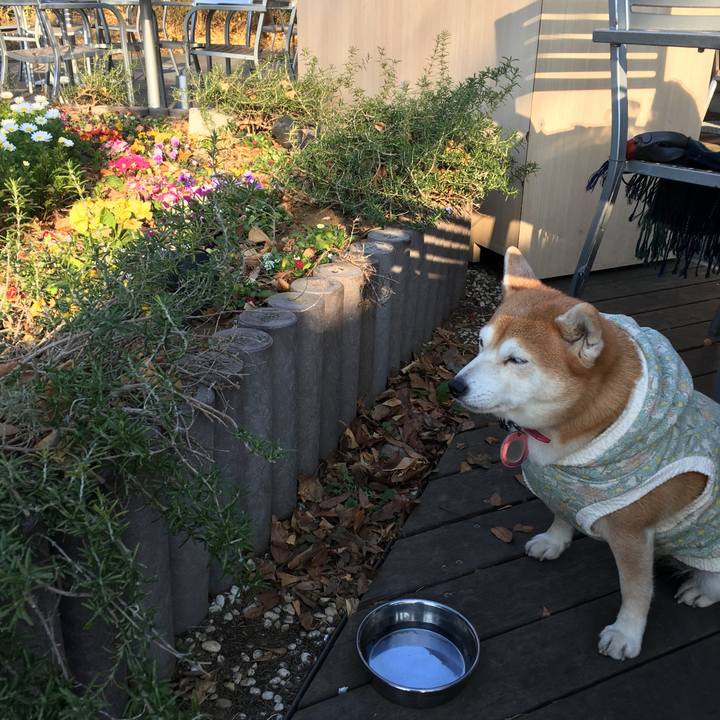 F6425bff 648b 4dfb 8b20 3dc4dda1e7de