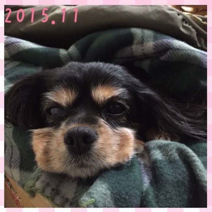 F6429f36 dd01 44e4 9a01 46d58df68261