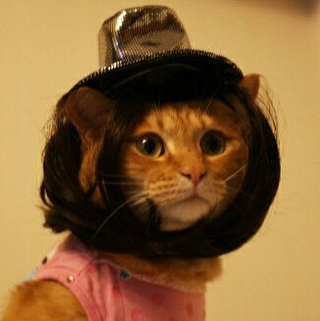 F642a3b3 27ae 4e6e 9ba7 3b926116fab3