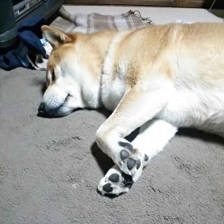 F642e736 0455 4993 9313 b5d943acc264