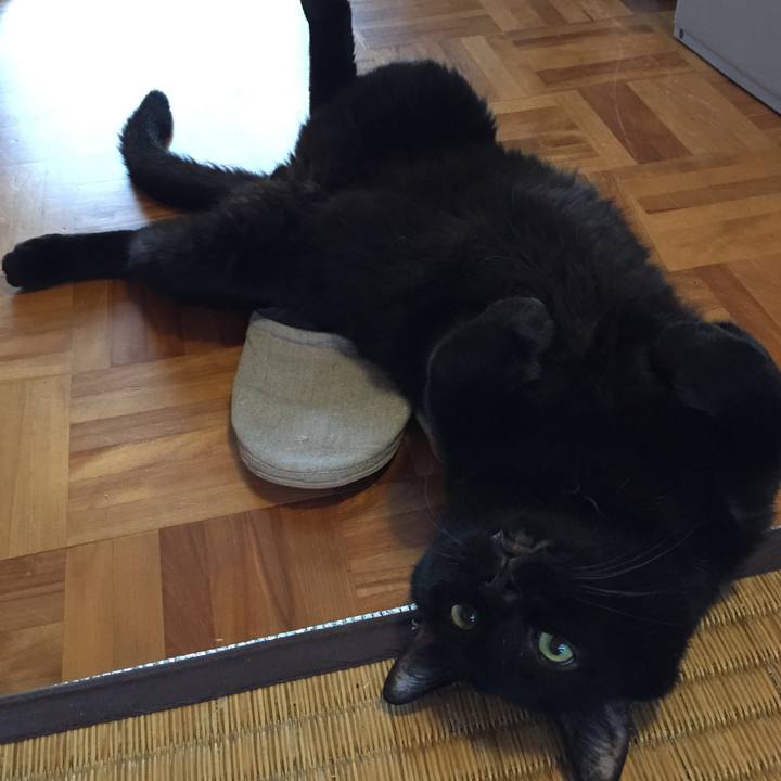 F6430428 c391 4087 a123 9ddbb08bad1c