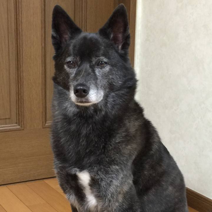 F64322cf fbc1 4945 b8cb 5cd61babbd83