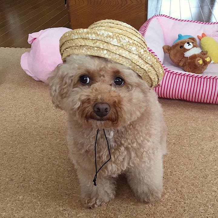 F6433da2 12dc 447f 8591 4fc0c37dcf28