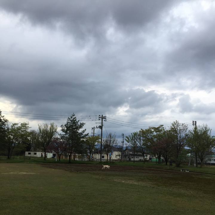 F643c5f8 5483 4c9c b5f1 1fcb133b56f2