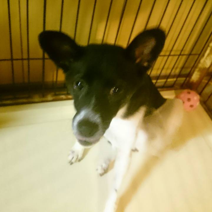 F643f797 de95 4763 a95e fbde326ef451