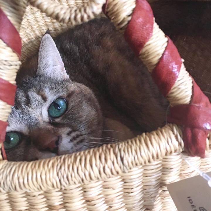 F644d33b 6e30 42db a673 69f46a31c2ec