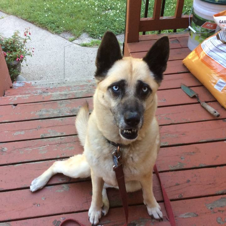 F644fdde bb22 45eb 8c17 6362e2767728