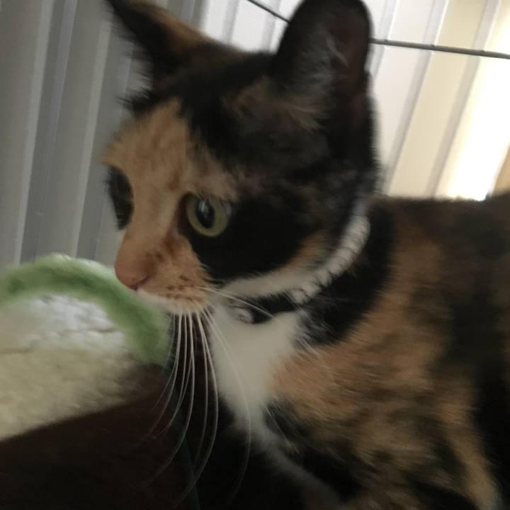 F6453d60 92b2 460e ad9a 5157956c2328