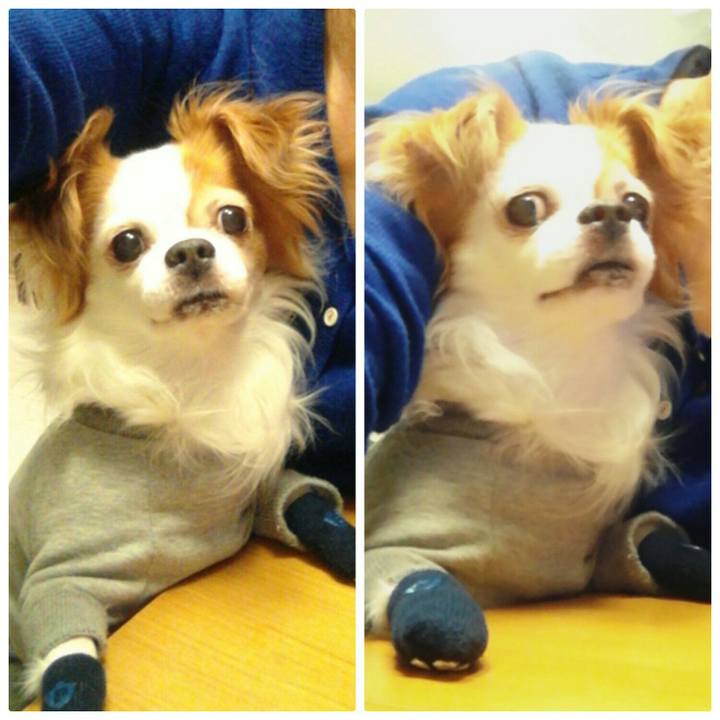 F6454a8a 310e 43bd 91c6 0da91db73292