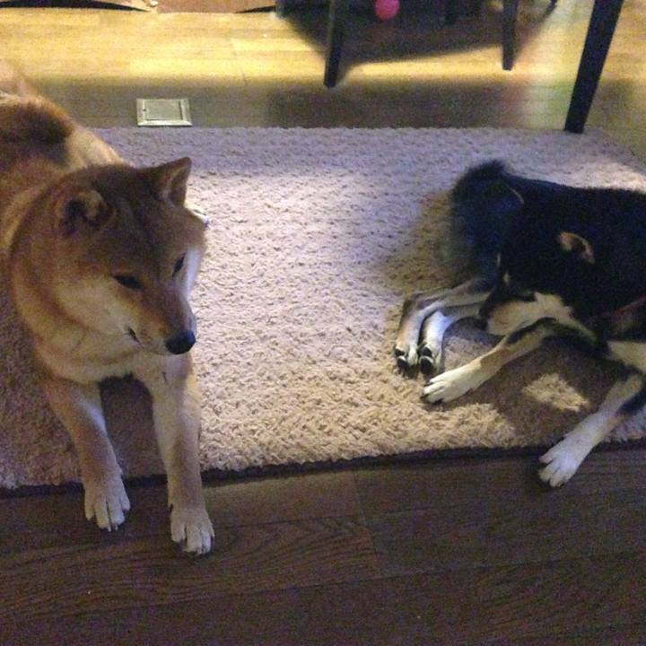 F64550fb 44da 49ef 9147 b232677d005b