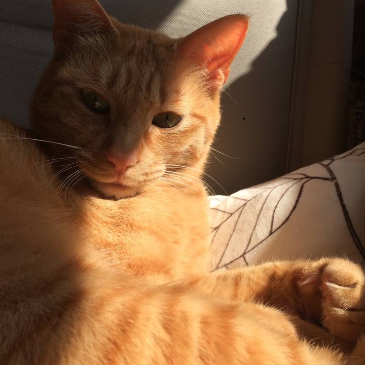 F645e909 a05c 4682 bfd0 6b02ba75728e