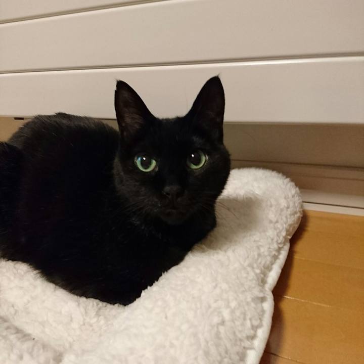 F6467fa8 eaf6 45d2 a2fd 4b5a71cd6b32