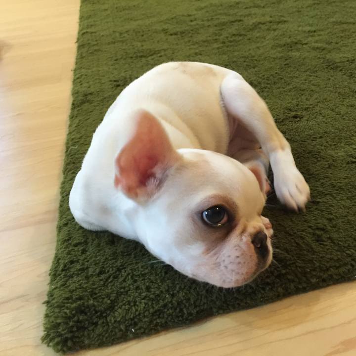 F646cd14 6a5c 47e2 9288 9df3a02c1958