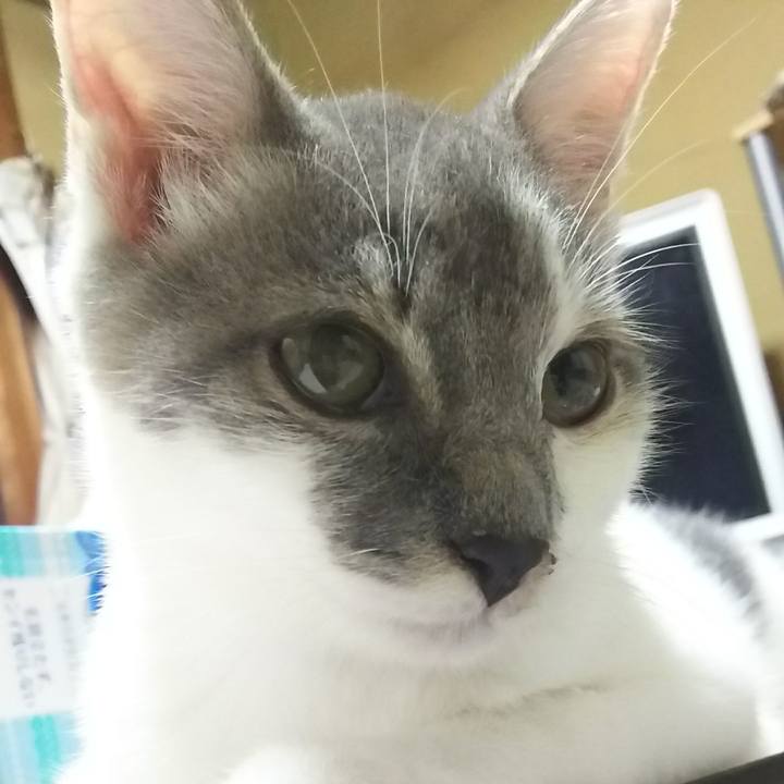 F64778de 6d4d 4f00 8b58 ddcd4f3412b7