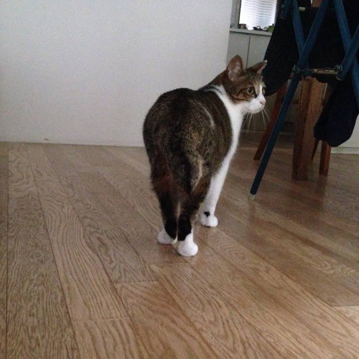 F647b295 87a1 4ec3 8479 f24dbd01bb6e