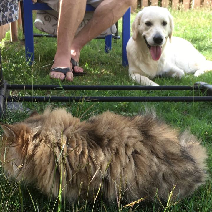 F647b3f8 5a2d 41a1 a0e7 d5021eef82b8