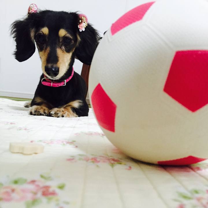 F6480618 ec53 46fe 9fab b810952965b1