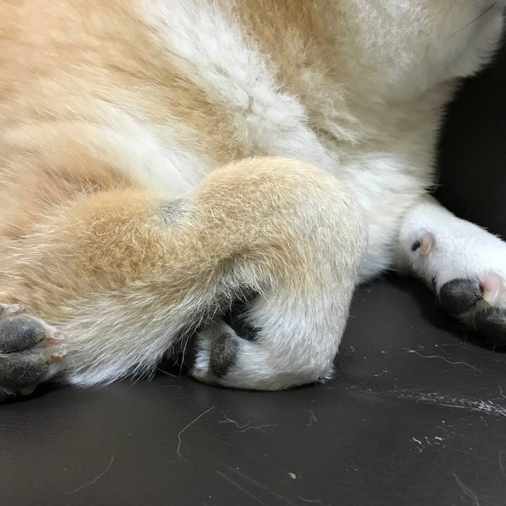 F6484a2d 8af0 479b b5a6 81c82b03032a