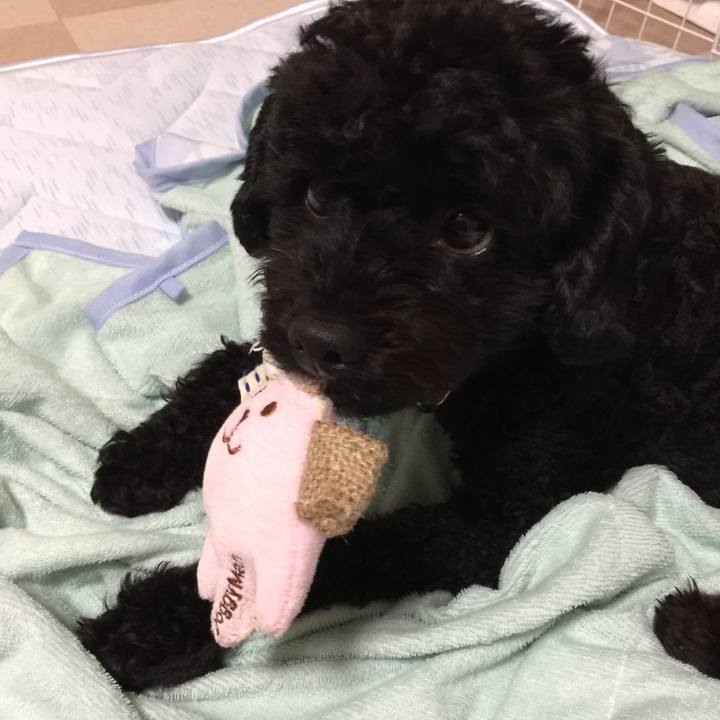 F648c4d3 4fed 4ef6 8414 d3564277addf