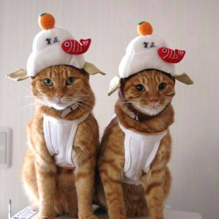 F648c528 8e7a 45b8 811d 90bdad9e680d