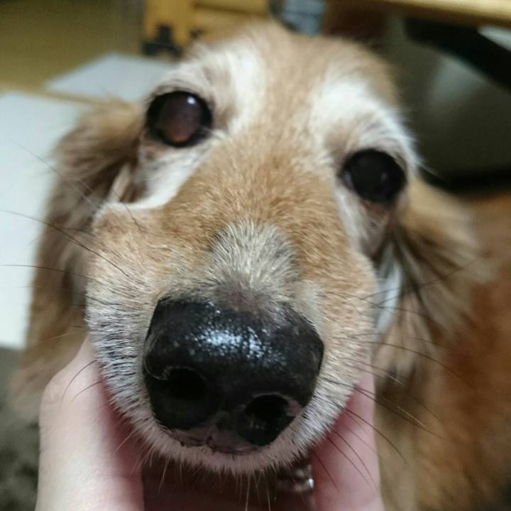 F64905d1 c3d1 4b17 be07 6ff4e80837ec