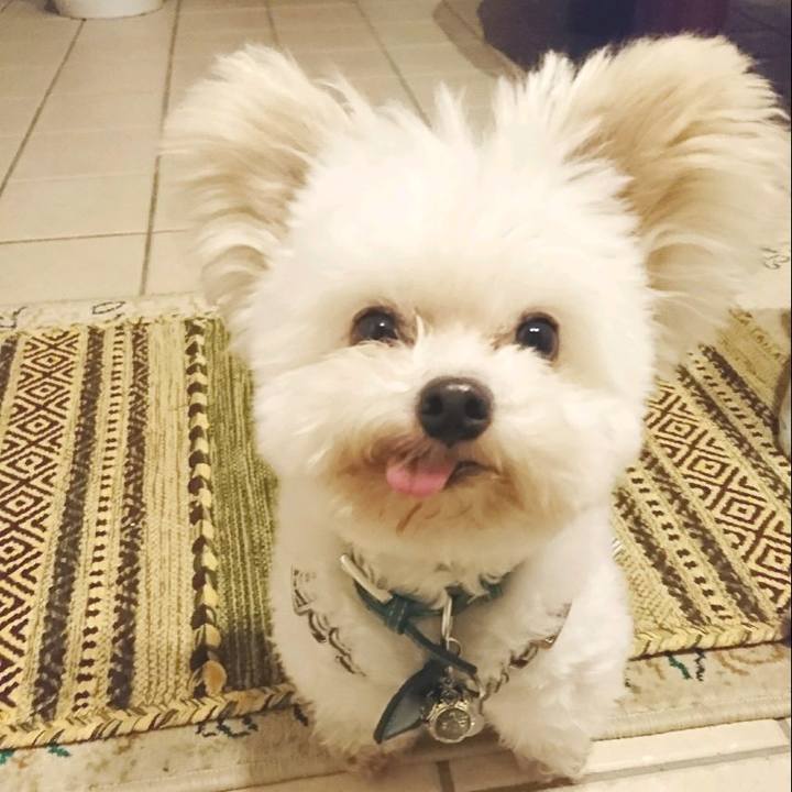 F64a0109 b63b 4e73 8e15 f0acd2ee3905