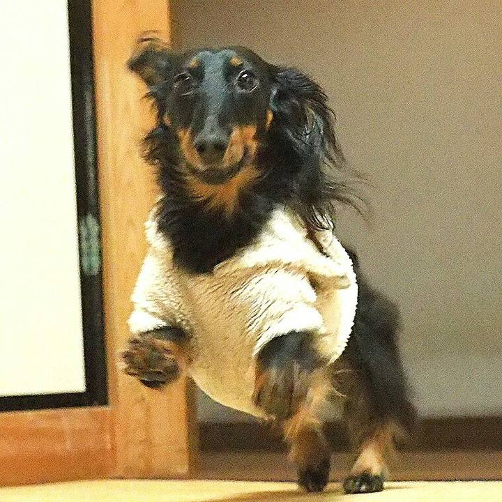 F64a7c00 e3ef 42d6 ab1e 1742f02d711b