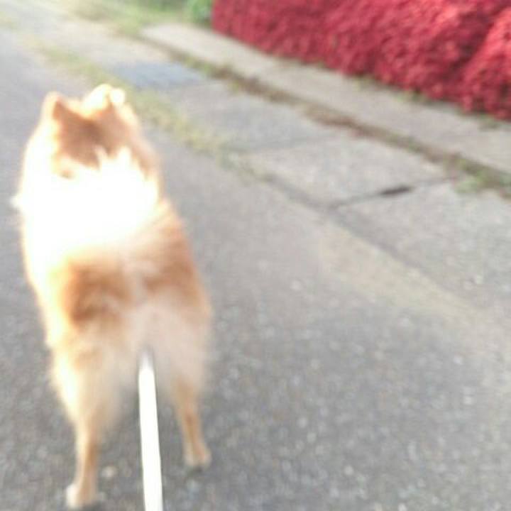 F64acd35 f5b4 4a45 815a f8925661af46