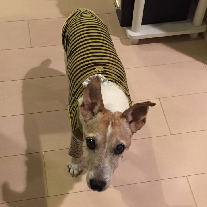 F64ae876 63b5 4720 8260 3bf224ff56b5