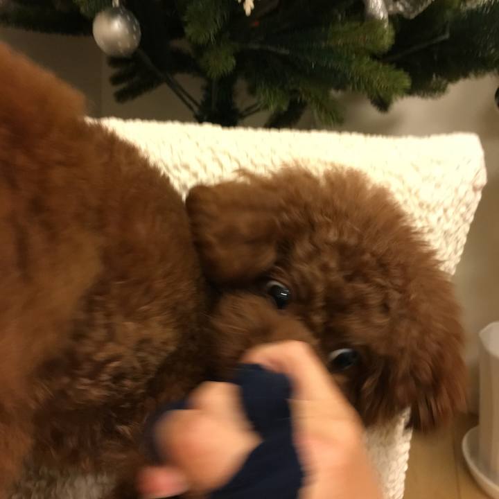 F64b8b3a 333b 4c7e 8116 692a4f452563