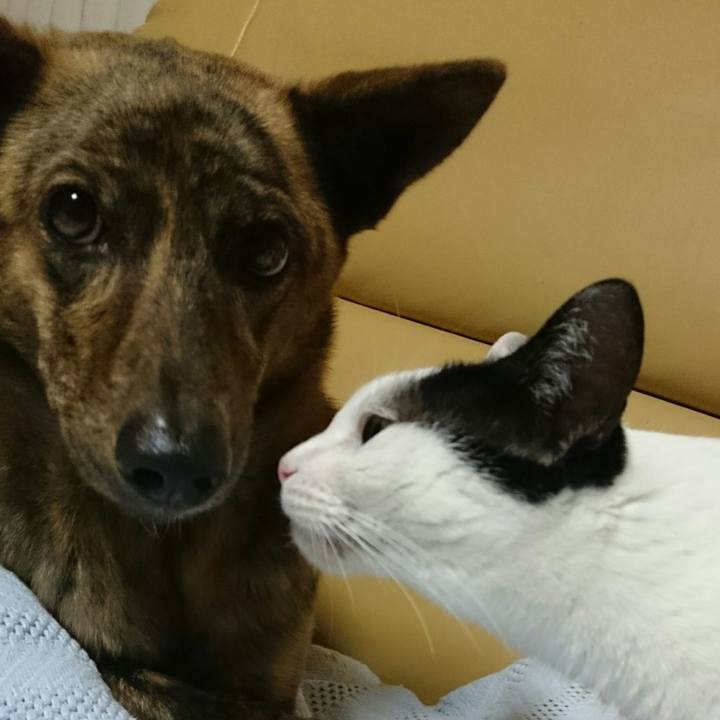 F64bc27c d4d0 4d00 97a4 342b43c4cf0b