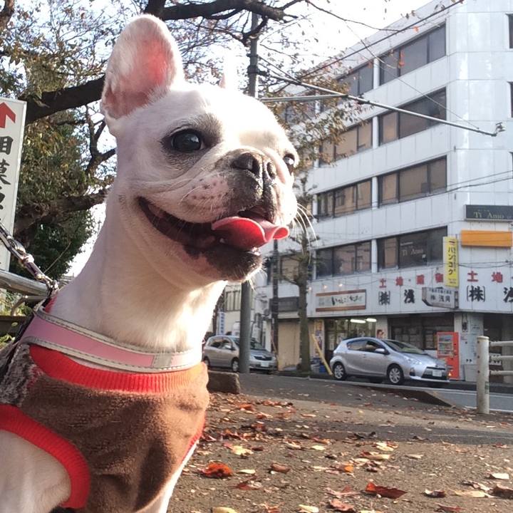 F64c02f9 b6cd 4dd2 a120 ae1bb6b62f77