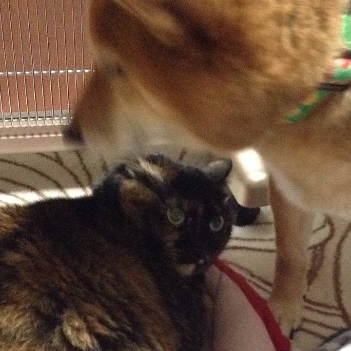 F64c4bdd 6e85 450f b92a 10b41431d79a