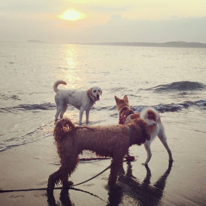 F64d2af7 7084 47ad 9aea cec30eb03506