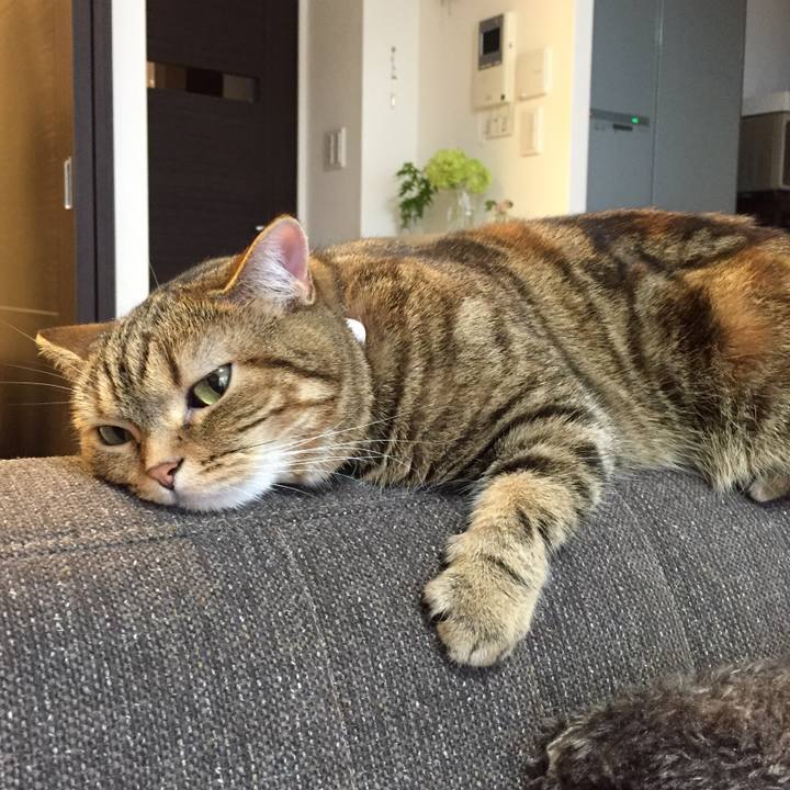 F64d7171 28dc 4b28 9d59 9be0ab4d45de