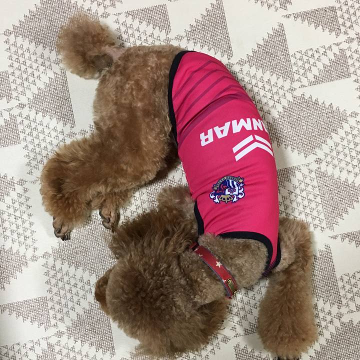 F64e836f 25b1 4329 8635 66fb97d14af2