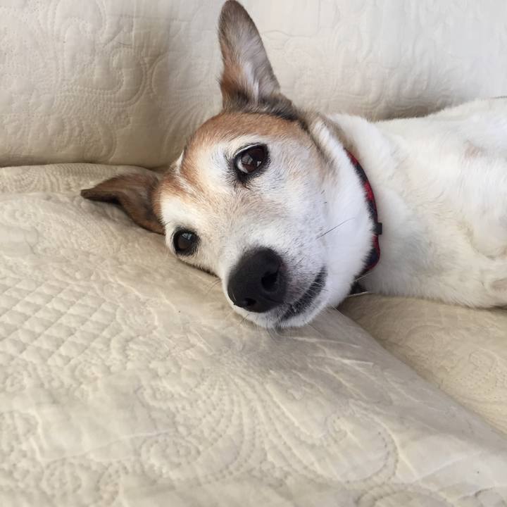 F6505abe 4d03 4c3f b945 88396a29bba0