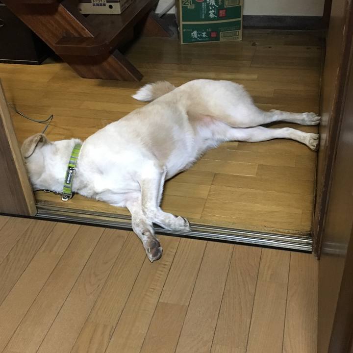 F6529b90 fadf 468d b031 35bb08e1b54e