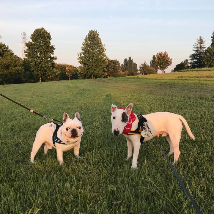 F652cb9e 579b 48e7 9cee 7eee1aba162e