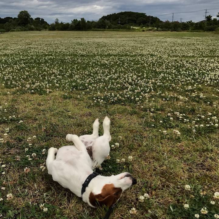 F6535ab6 c207 437d 9a3c 1e6b740f6d71