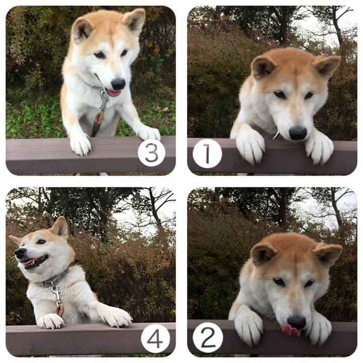 F653b1b0 5907 47ce a74e 4be8e0cc9dca