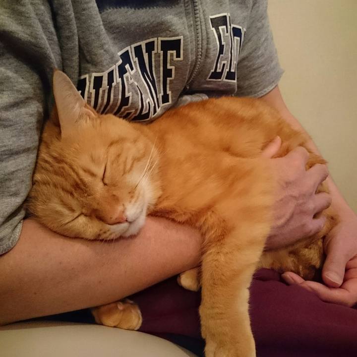 F653ee87 55c5 410b 84bc b1a38e78244a