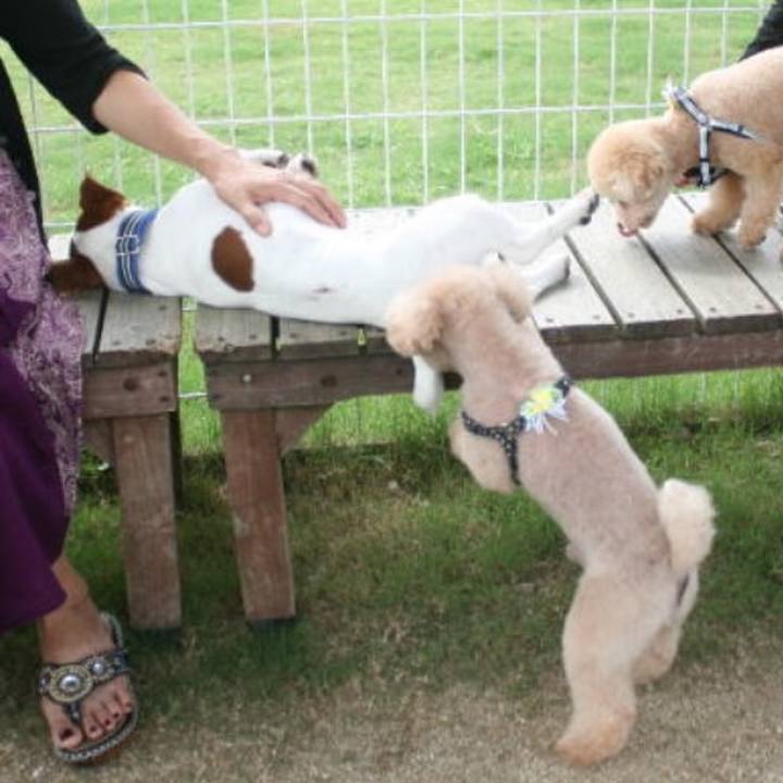 F6544dea aafd 42e0 95bf 720b65021716