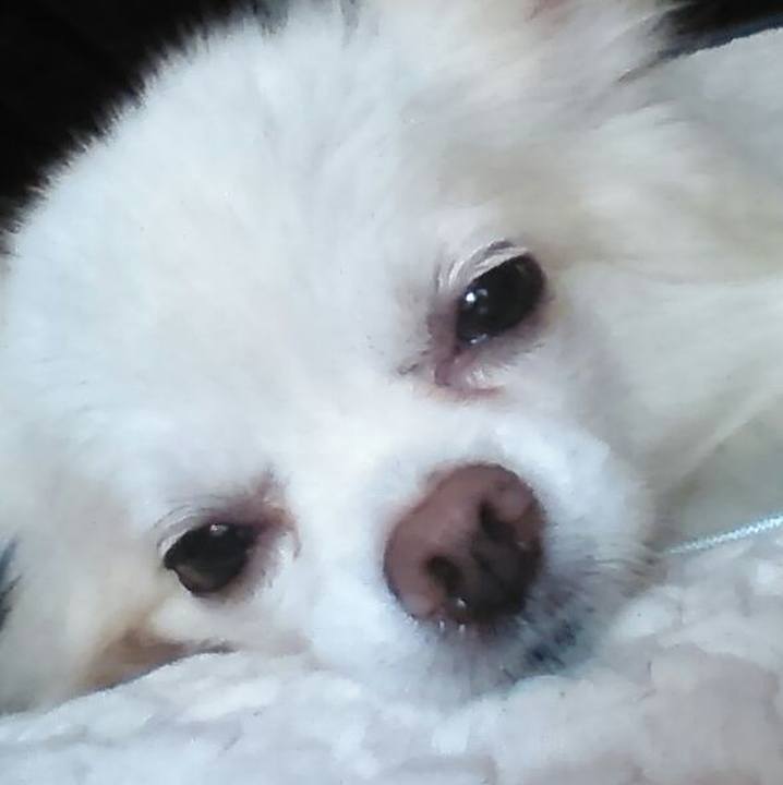 F654cc03 cd06 47e3 9b4e 00097b50f033