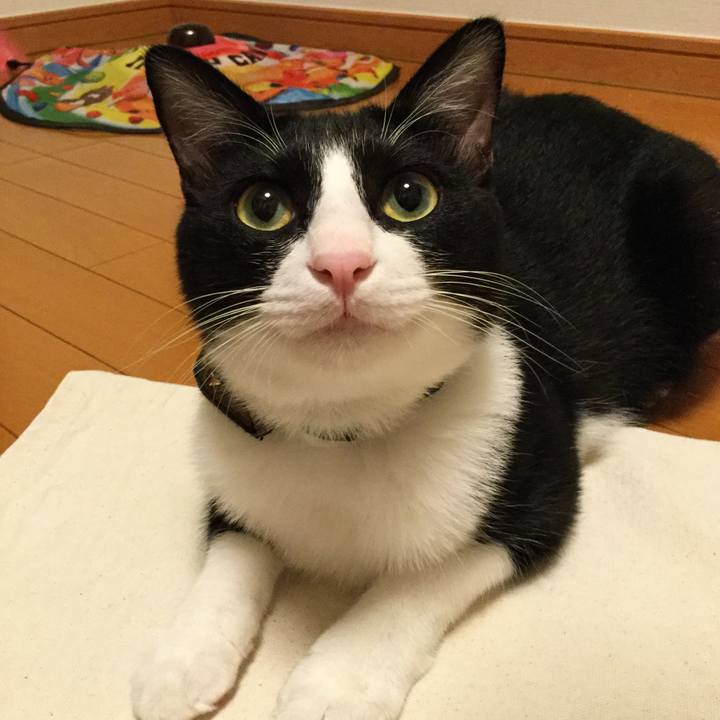 F654ea5e b0eb 4b32 afcc addc9979368e