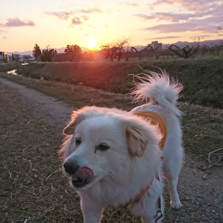 F6556106 f1a8 466f 97e0 00f8f2f90caa